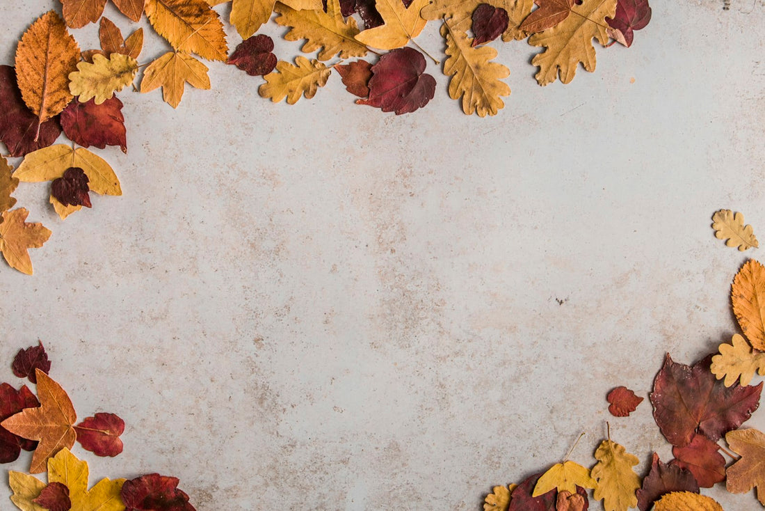 Dried autumn leaves framing a warm, neutral background